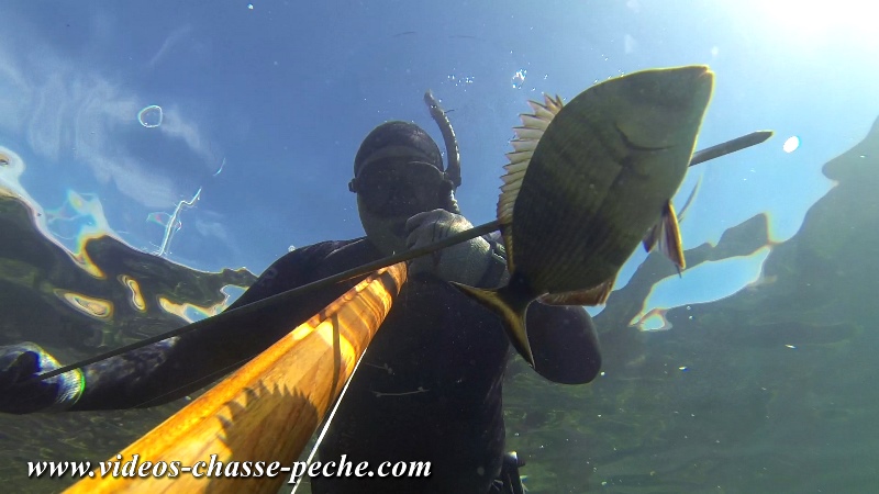 chasse sous marine  l'indienne